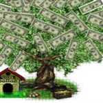 Ronnie Finance Company Ltd 10105